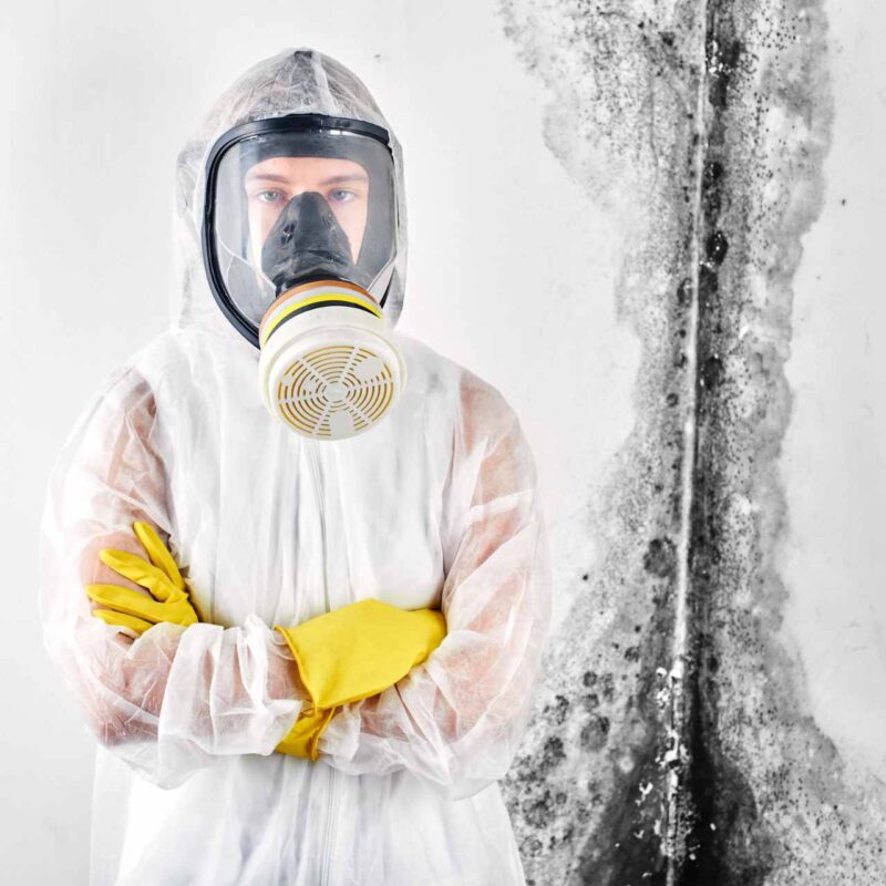 Why UHS Mold is the Best Choice